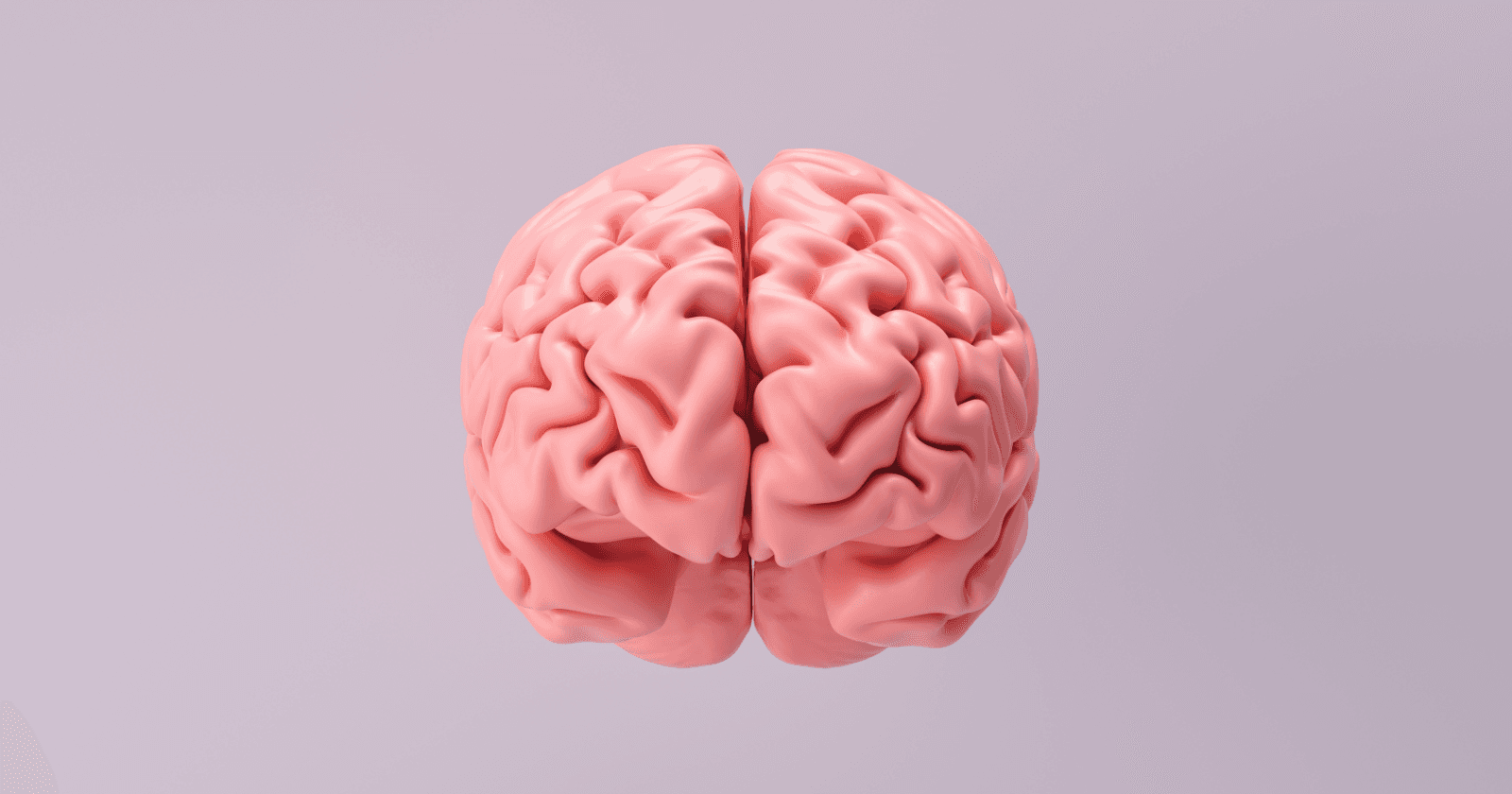 Introduction to Language Models: First Step to Becoming a Prompt Engineer